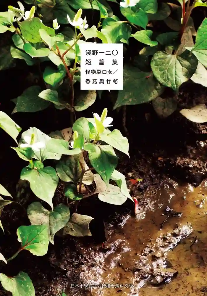 怪物裂口女 封面