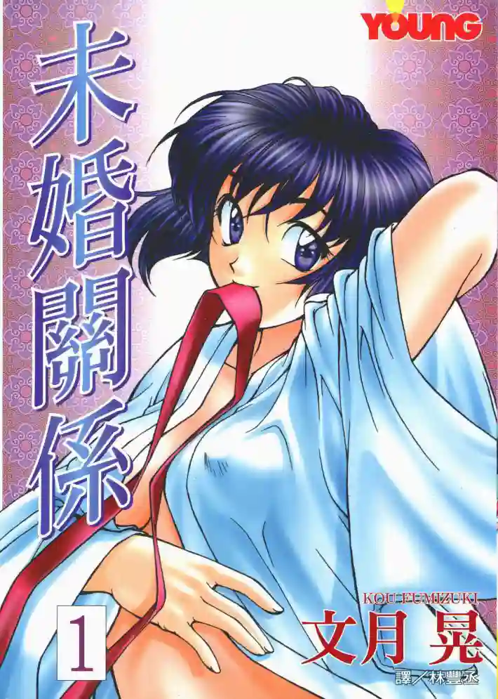 未婚关系 封面