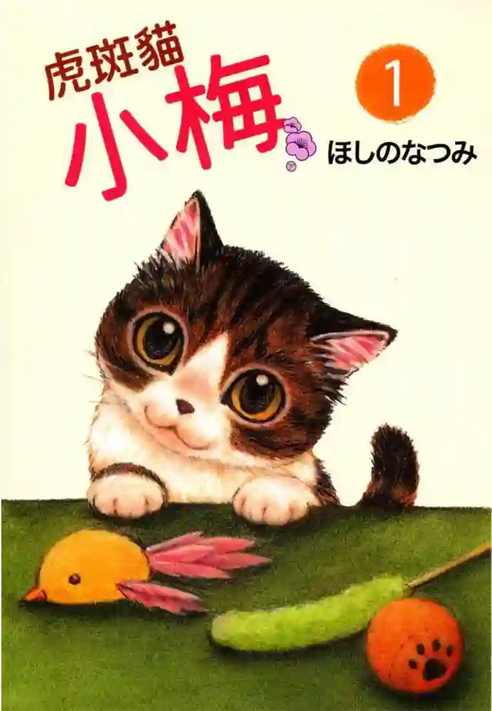 虎斑猫小梅