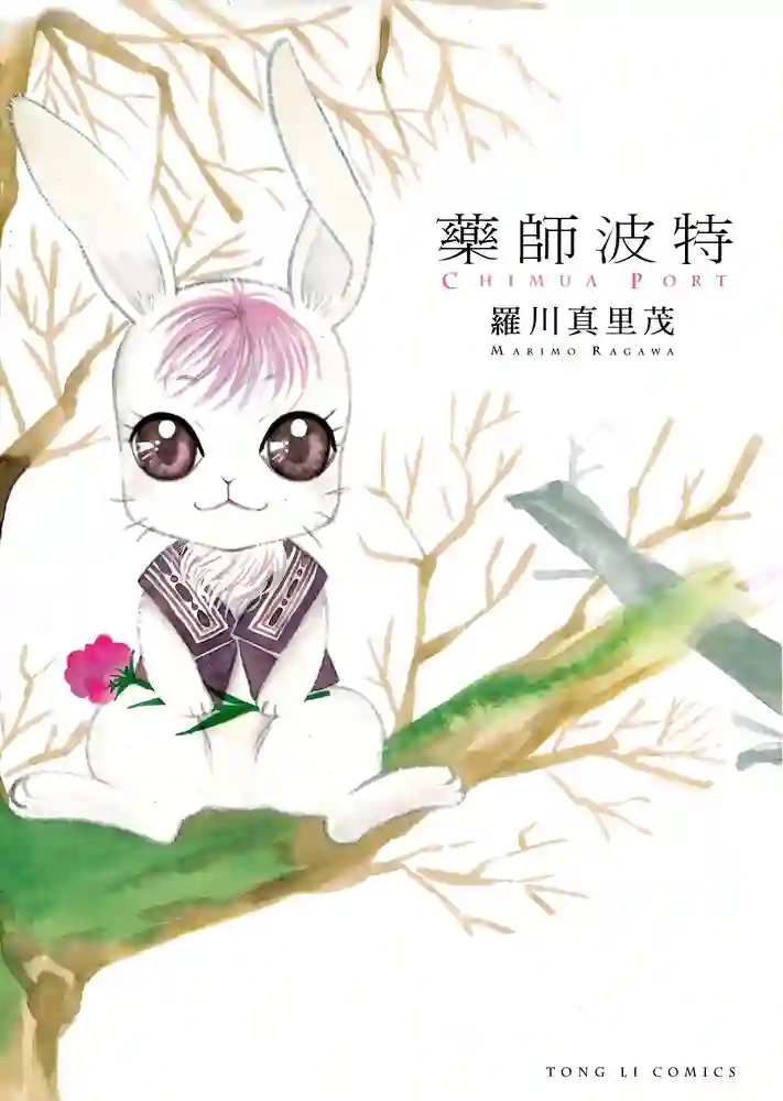 药师波特 封面